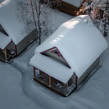 Downtown Talkeetna Cabin! Susitna Cabin Extérieur photo