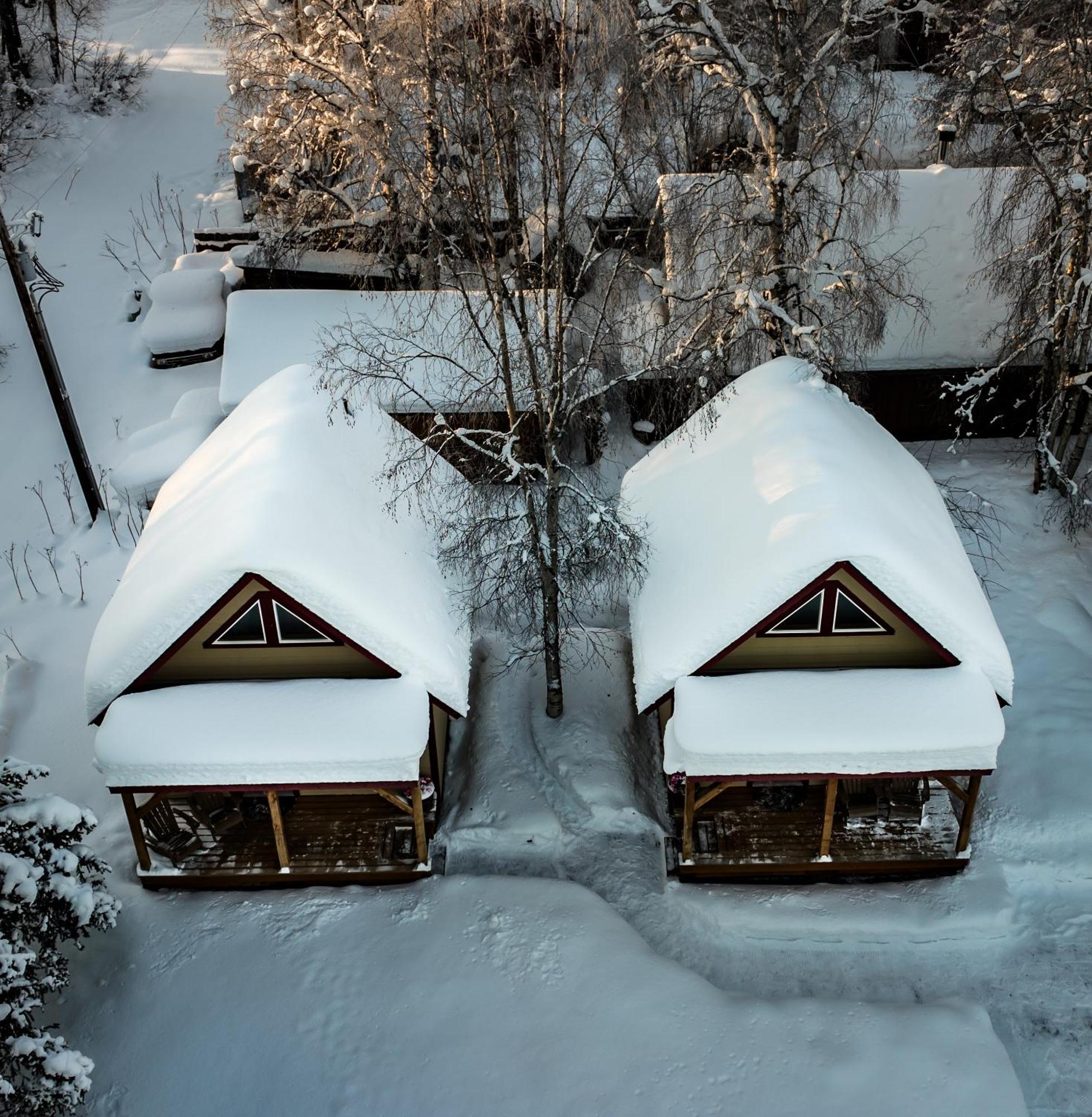 Downtown Cabin! Susitna Talkeetna